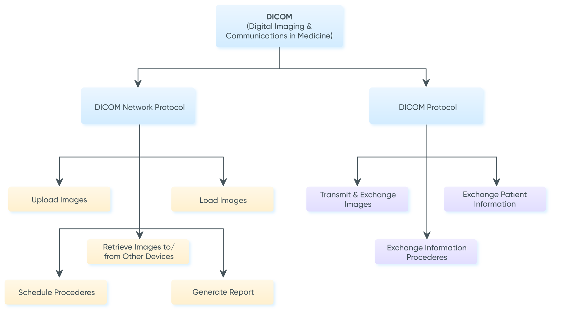 workflow diagram of a DICOM in dermatology emr software
